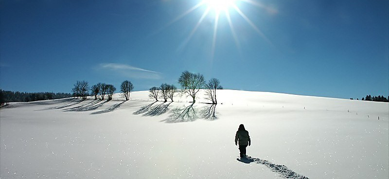 north-person-walking-snowC